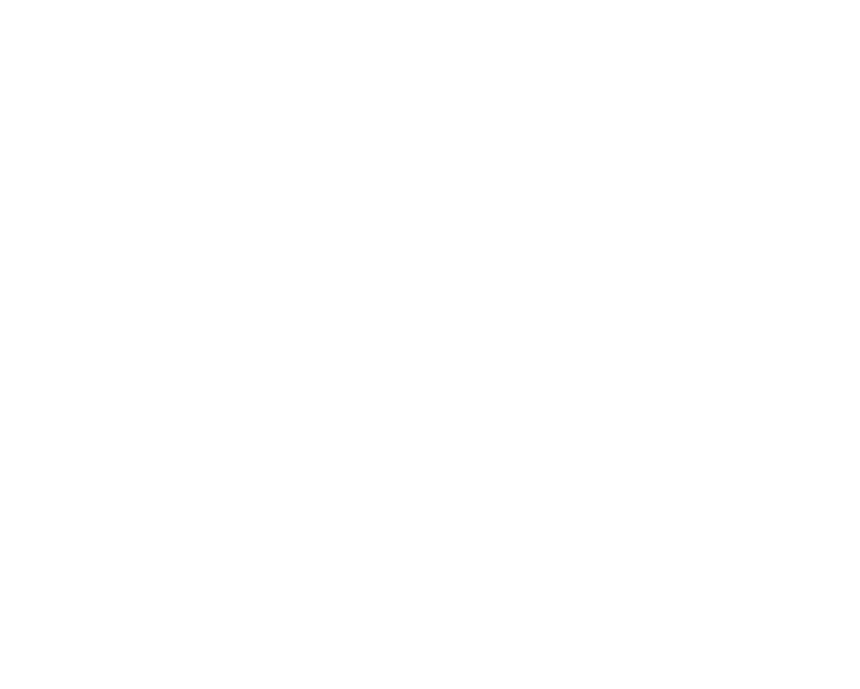 Sailsnake logo